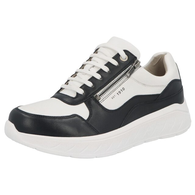 Solidus Ken 71126-10268 large