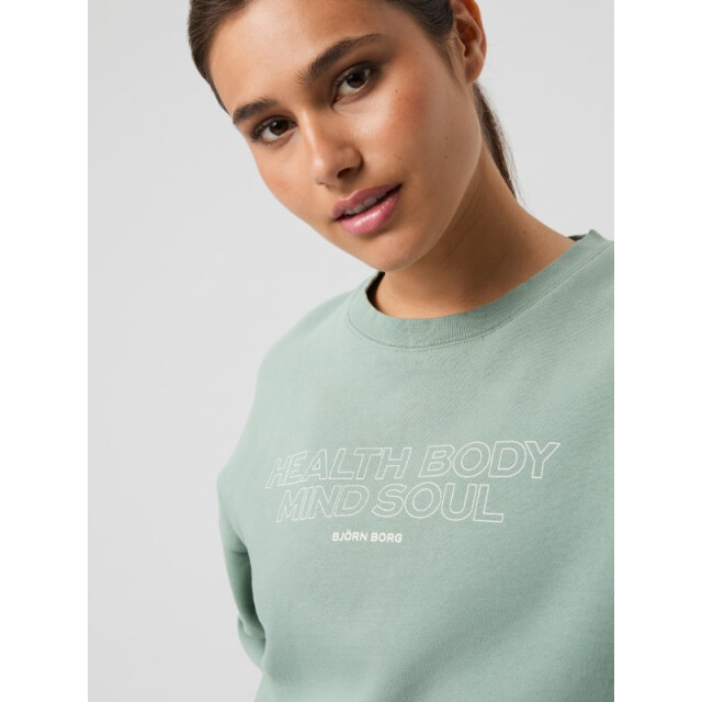 Björn Borg Borg boyfriend sweatshirt 10004424-gn191 BJORN BORG borg boyfriend sweatshirt 10004424-gn191 large