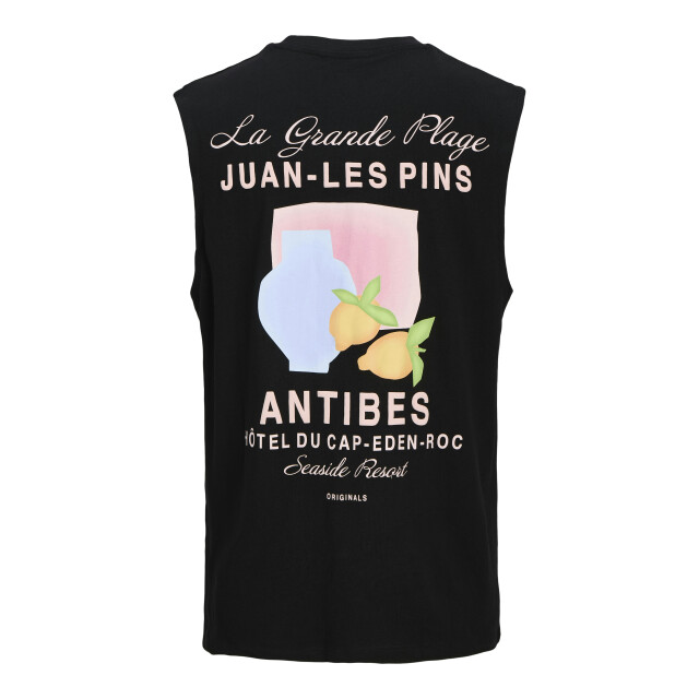 Jack & Jones Jorcanggu back graphic tee sl crew 12277567 large