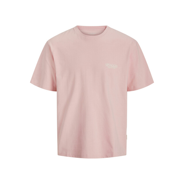 Jack & Jones Jorhydra photo tee ss crew neck licht 5339.61.0007 large