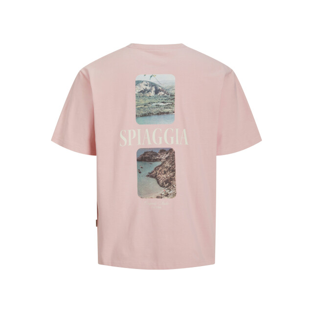 Jack & Jones Jorhydra photo tee ss crew neck licht 5339.61.0007 large