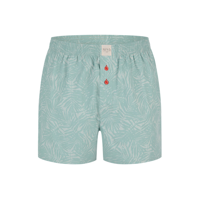 Phil & Co Wijde boxershorts heren 6-pack pack d525 PH-525 large