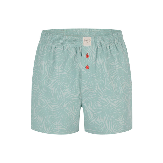Phil & Co Wijde boxershorts heren 6-pack pack d525 PH-525 large
