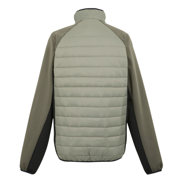 Regatta Heren clumber iv full zip hybride jas UTRG9074_goldensandtreetopblack large
