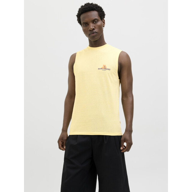 Jack & Jones Jorcanggu back graphic tee sl crew 12277567 large
