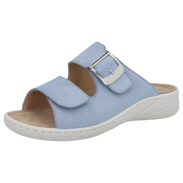 Solidus Wellness special 20187-80494 large