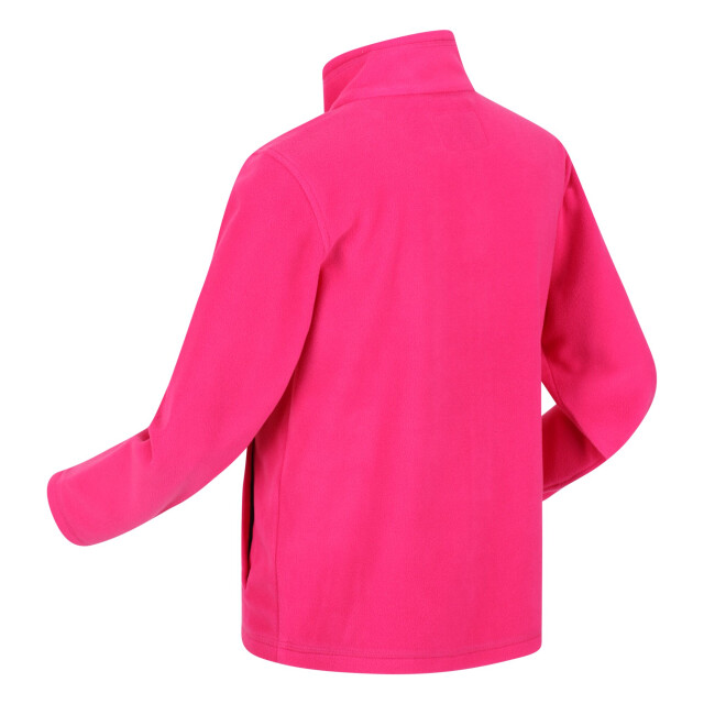Regatta Groot buitenshuis kinderen/kinderen king ii lichtgewicht full zip fleece jasje UTRG565_pinkpotion large