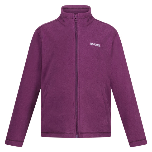 Regatta Groot buitenshuis kinderen/kinderen king ii lichtgewicht full zip fleece jasje UTRG565_pop large
