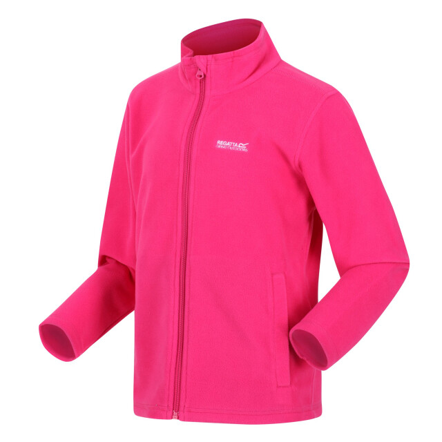 Regatta Groot buitenshuis kinderen/kinderen king ii lichtgewicht full zip fleece jasje UTRG565_pinkpotion large