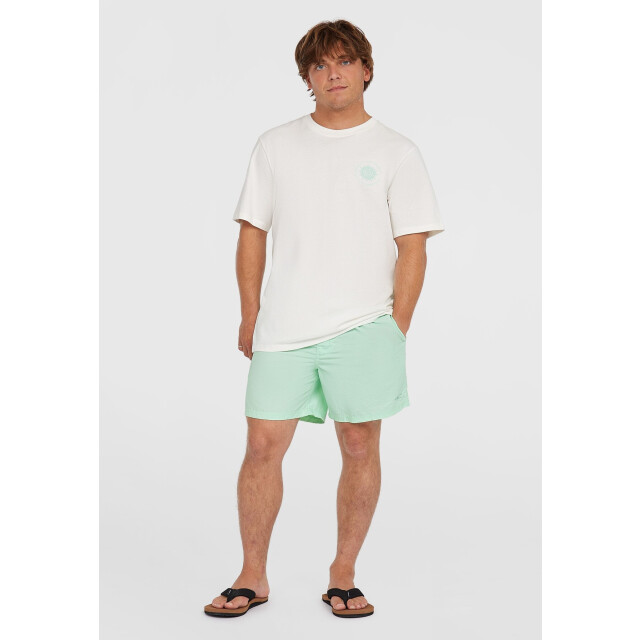 O'Neill Heren zwembroek vert 16