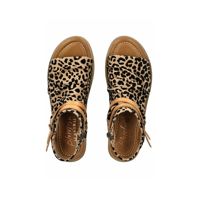 Blowfish Malibu Blowfish 0125 malibu denver sand/leo 0125 large