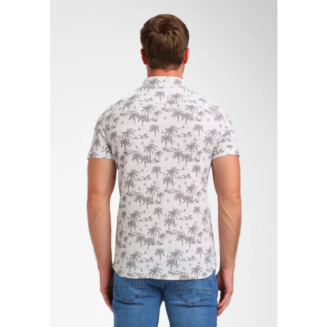 Gabbiano 335933 zand dessin 5369.06.0014 large
