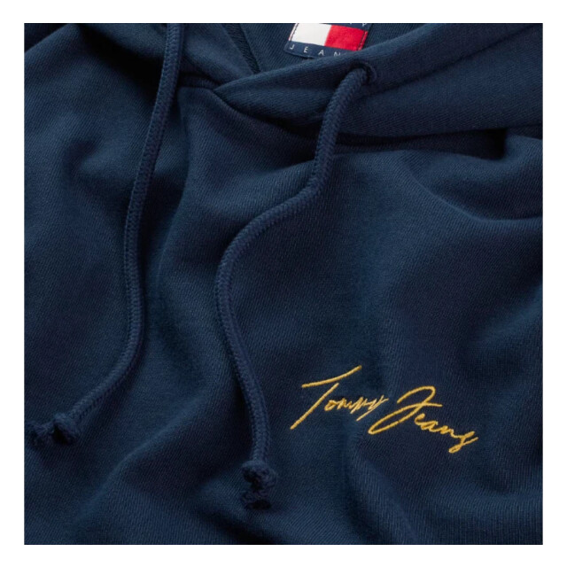 Tommy Hilfiger Dm0dm21373 c1g beach club graphic -dark night navy  hoodie C1G Dark Night Navy/DM0DM21373 Beach  Club Graphic large