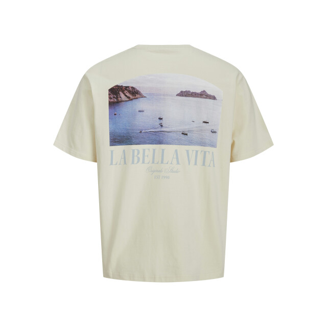 Jack & Jones Jorhydra photo tee ss crew neck 12276825 large