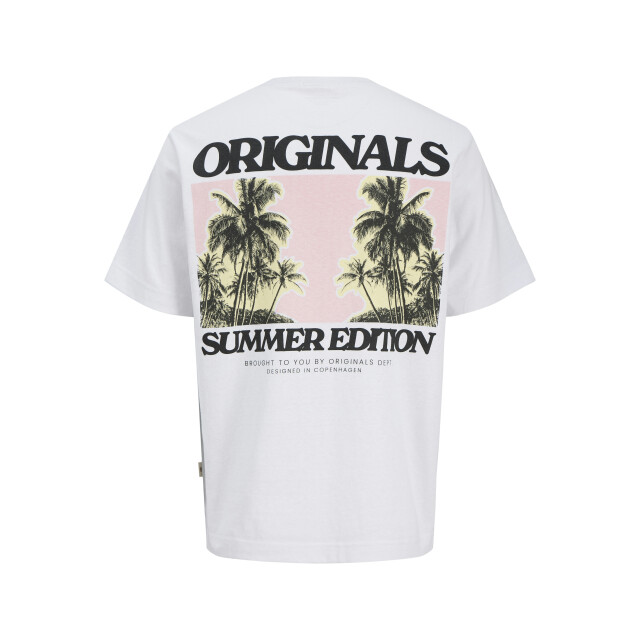 Jack & Jones Jortavira pop tee ss crew neck oc25 12276826 large