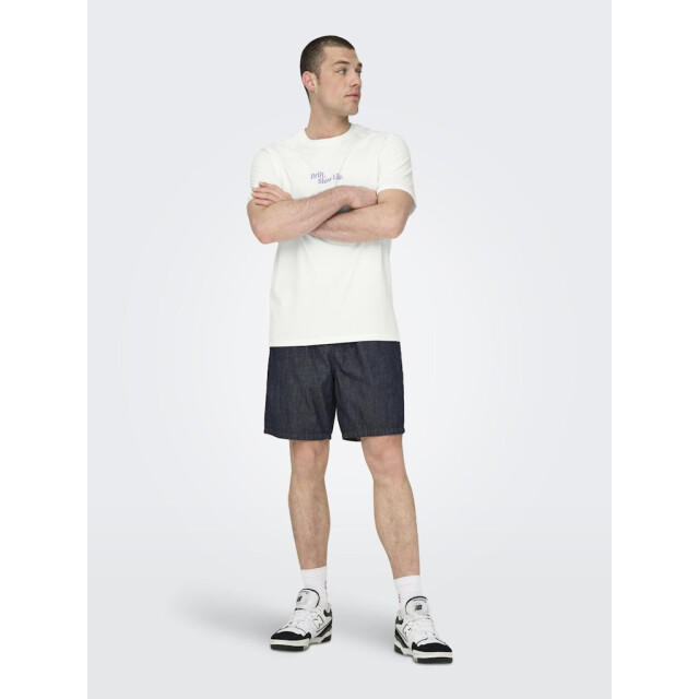 Only & Sons Onskye reg photo ss tee off-white 5339.02.0016 large