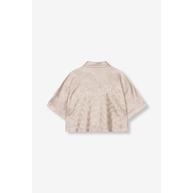 Alix The Label Foilke cropped blouse zilverkleurig 4319.97.0001 large