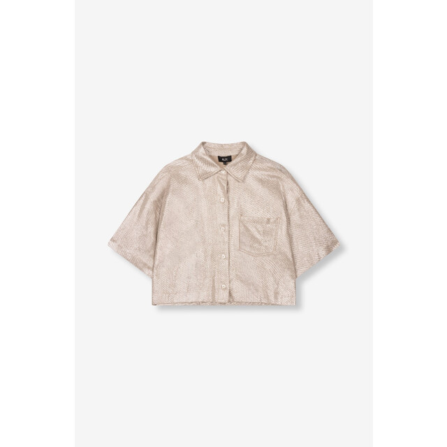 Alix The Label Foilke cropped blouse zilverkleurig 4319.97.0001 large