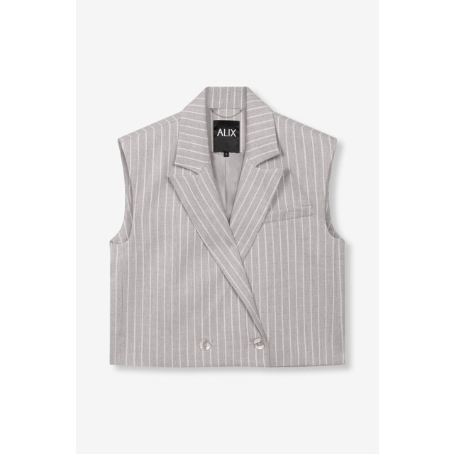 Alix The Label Pinstripe wastcoat dessin 4259.88.0001 large
