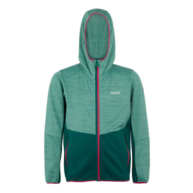 Regatta Kinder/kinder prenton iii jas UTRG11985_rainforestdustygreen large