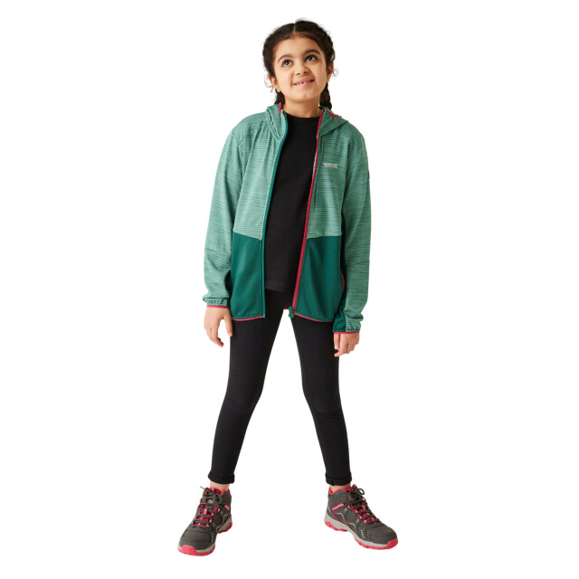 Regatta Kinder/kinder prenton iii jas UTRG11985_rainforestdustygreen large