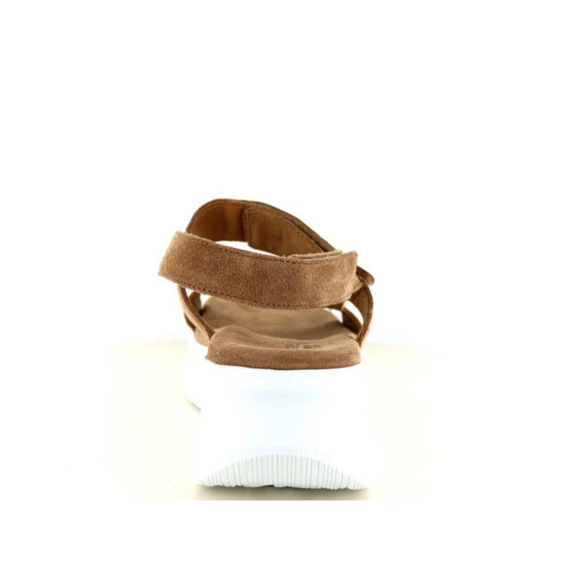 Panama Jack Noor Sandalen Cognac Noor large
