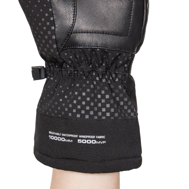 Trespass Unisex volwassen alazzo dlx leren skihandschoenen UTTP5160_black large
