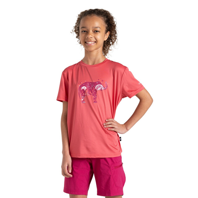 Regatta Kinderen/kinderen amuse ii bike t-shirt UTRG10866_neonpink large