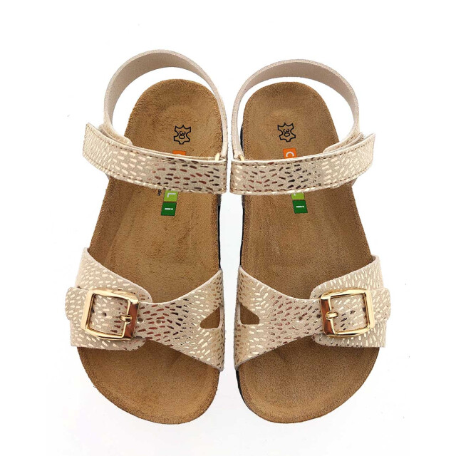 Chili Pepita 5 sandalen PEPITA 5 large