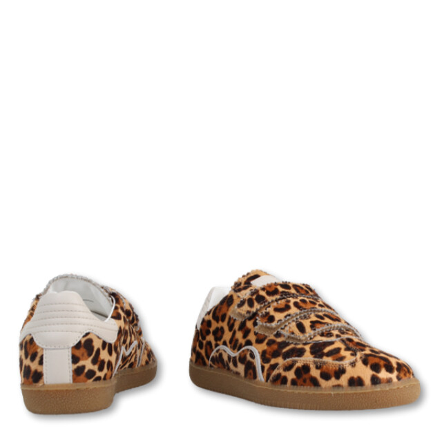 Toral TL-REM Sneakers Print / Multi TL-REM large