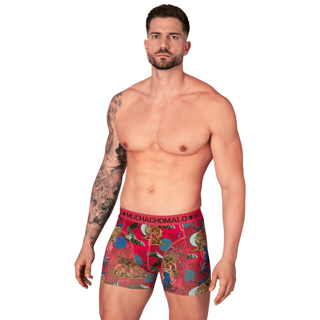 Muchachomalo Heren 10-pack boxershorts U-REMIX1010-20 large