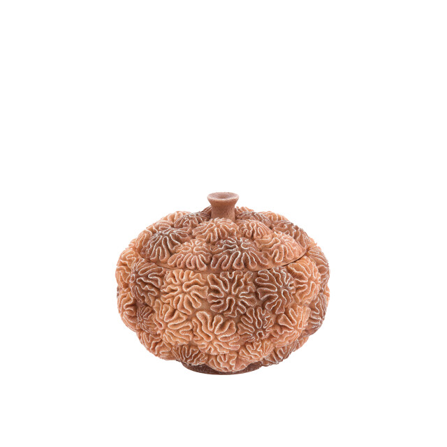 Light & Living deco box+deksel coral Ø20x15.5cm - 3184386 large