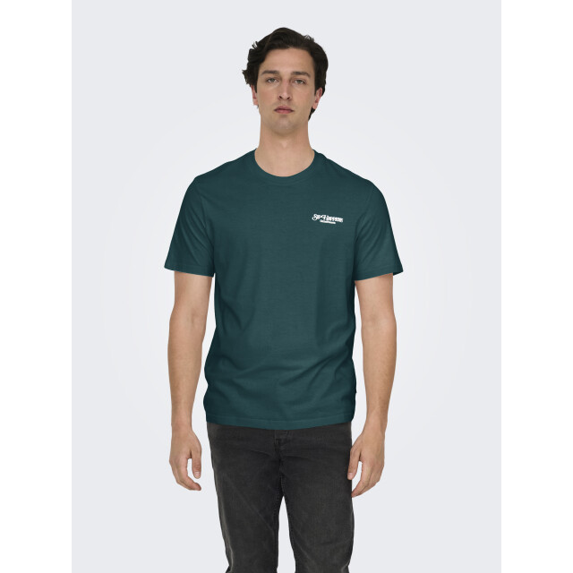 Only & Sons Onschris life reg ss tee 22034333 large