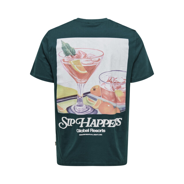 Only & Sons Onschris life reg ss tee 22034333 large