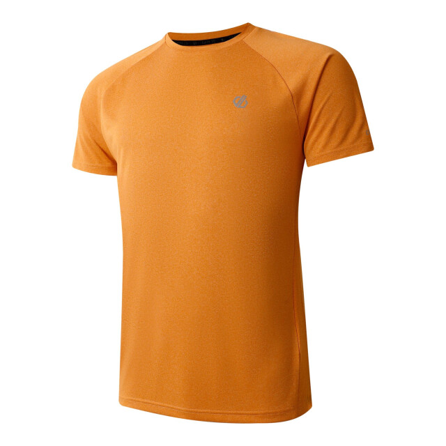 Dare2b Heren versnellen lichtgewicht t-shirt UTRG8622_buckskin large