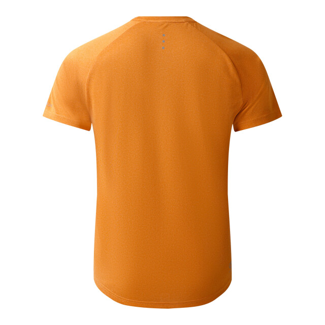 Dare2b Heren versnellen lichtgewicht t-shirt UTRG8622_buckskin large