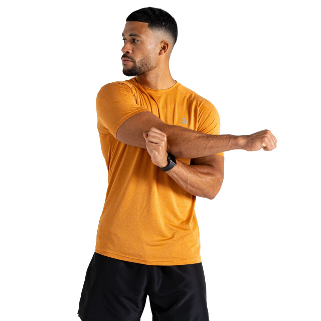 Dare2b Heren versnellen lichtgewicht t-shirt UTRG8622_buckskin large