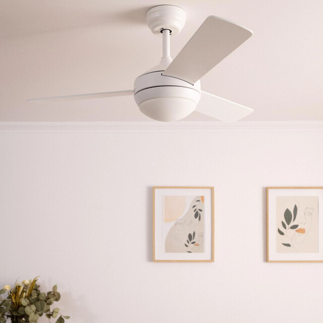Cool Breeze Plafondventilator aksel met verlichting Ø107cm 6 snelheden afstandsbediening - 2907017 large
