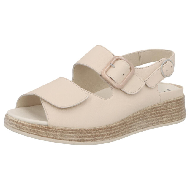 Solidus Hannah 75032-40518 large