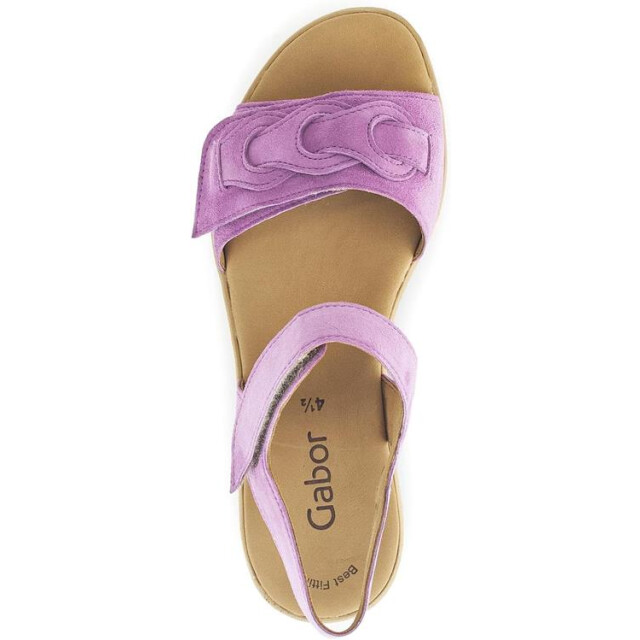 Gabor 44.553 Sandalen Paars 44.553 large
