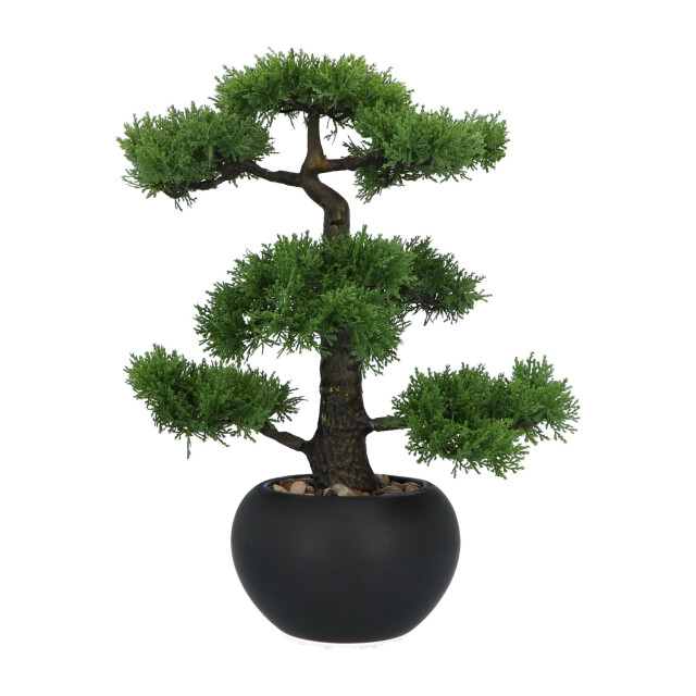 Kopu ® kunstplant bonsai ceder 48 cm met zwarte pot bonsai boompje 2612715 large