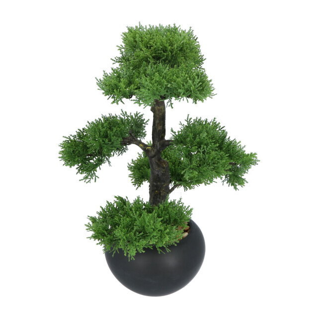 Kopu ® kunstplant bonsai ceder 48 cm met zwarte pot bonsai boompje 2612715 large