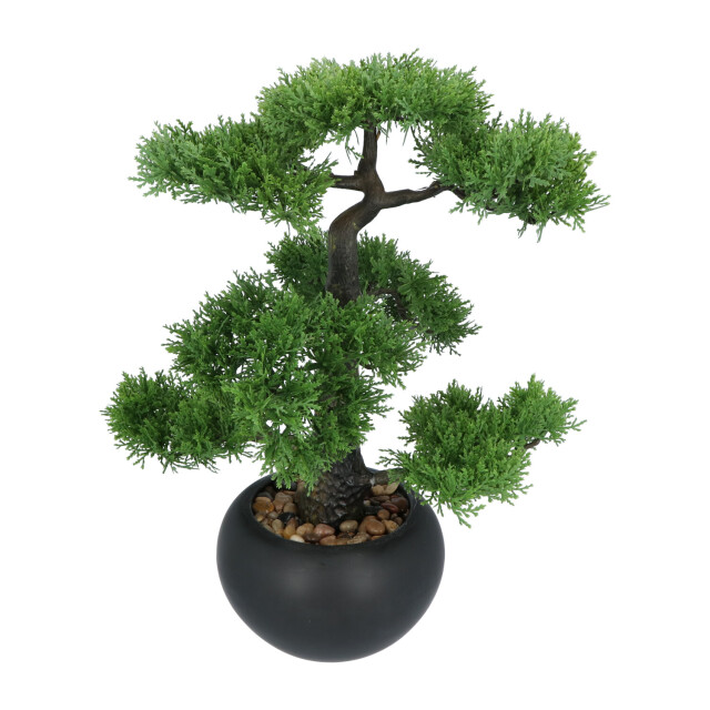 Kopu ® kunstplant bonsai ceder 48 cm met zwarte pot bonsai boompje 2612715 large