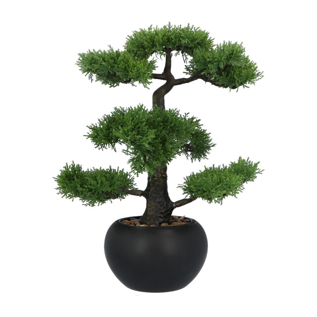 Kopu ® kunstplant bonsai ceder 48 cm met zwarte pot bonsai boompje 2612715 large