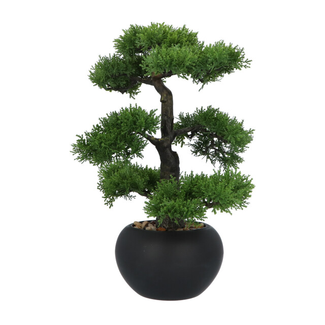 Kopu ® kunstplant bonsai ceder 48 cm met zwarte pot bonsai boompje 2612715 large