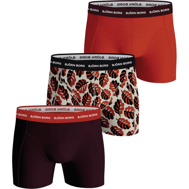 Björn Borg 3-pack boxers 10001565-MP003-M large