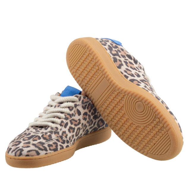 DWRS Label B11456 01 poona leopard B11456_01 Poona Leopard large