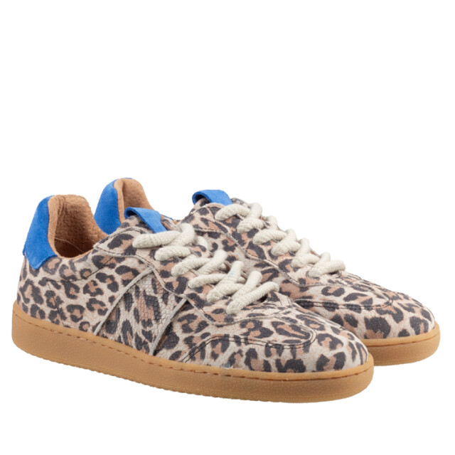 DWRS Label B11456 01 poona leopard B11456_01 Poona Leopard large