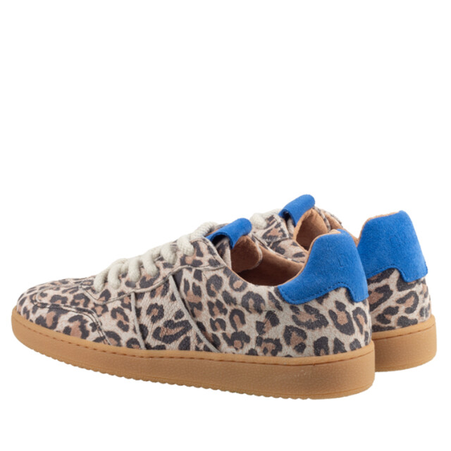 DWRS Label B11456 01 poona leopard B11456_01 Poona Leopard large