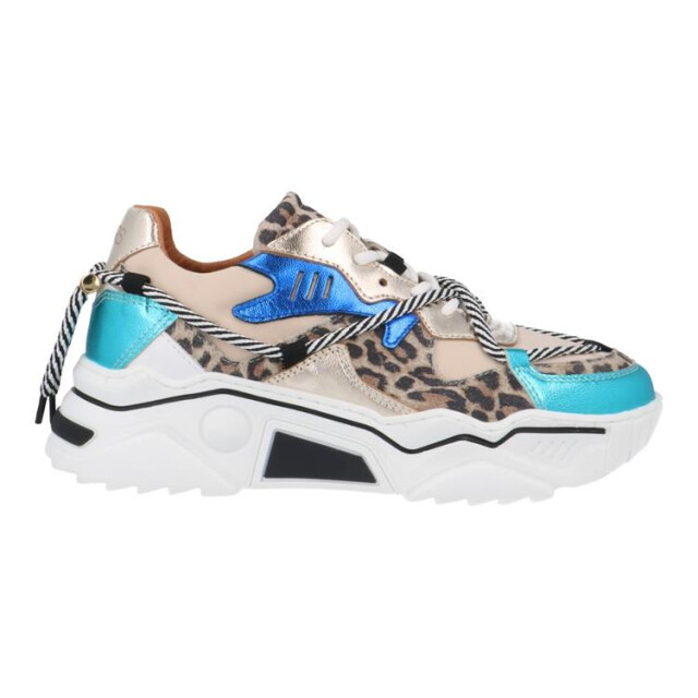 DWRS Label J5554c jupiter J5554C Jupiter large